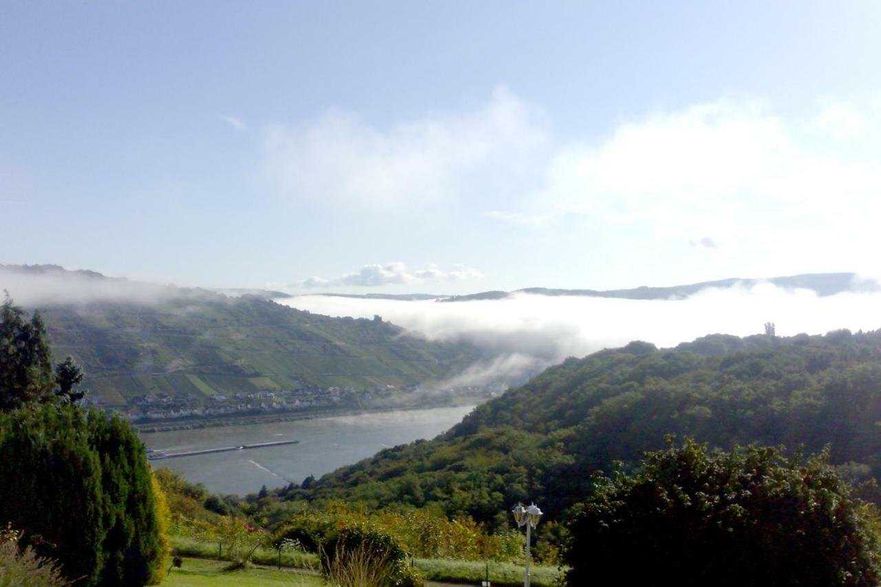 Schau-Rhein#1 - On Top Of Bacharach, Rhineview Εξωτερικό φωτογραφία